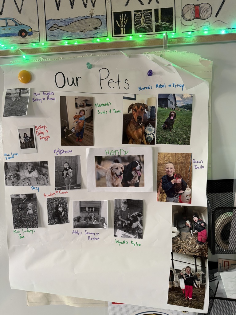 Poster titled "Our Pets" features photos of students' pets with handwritten names and labels.