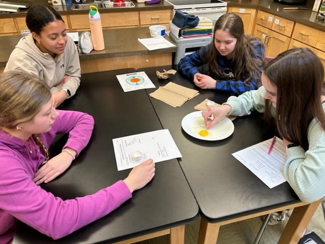 Four students observe and interact with a raw egg during a hands-on science lesson.