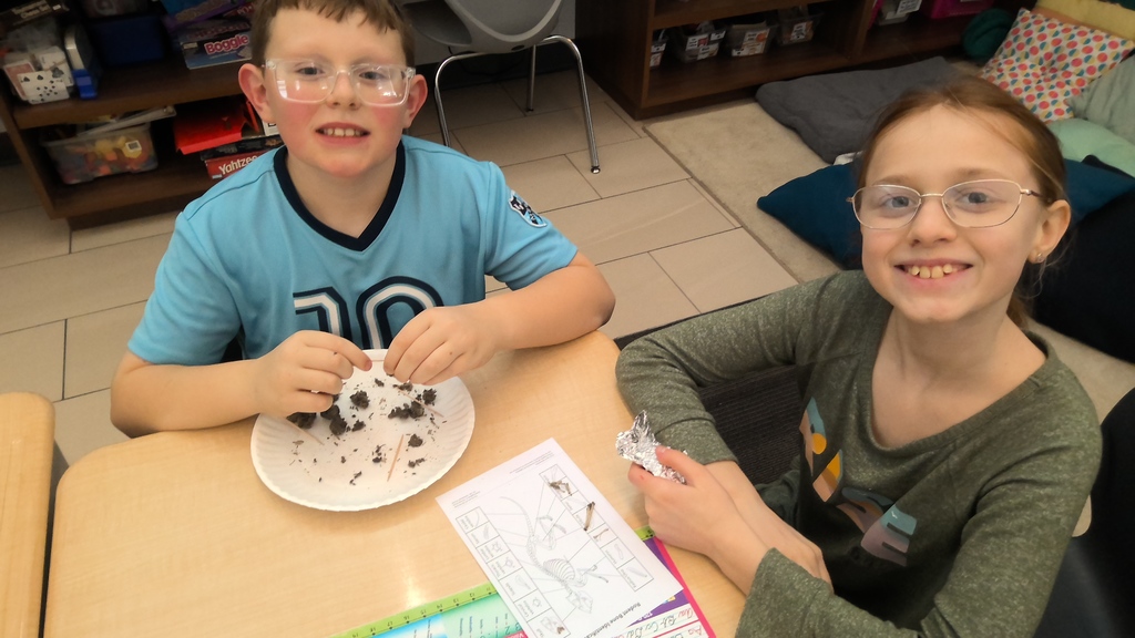 Two smiling students work together at their desk with a paper plate of material and a sorting worksheet.