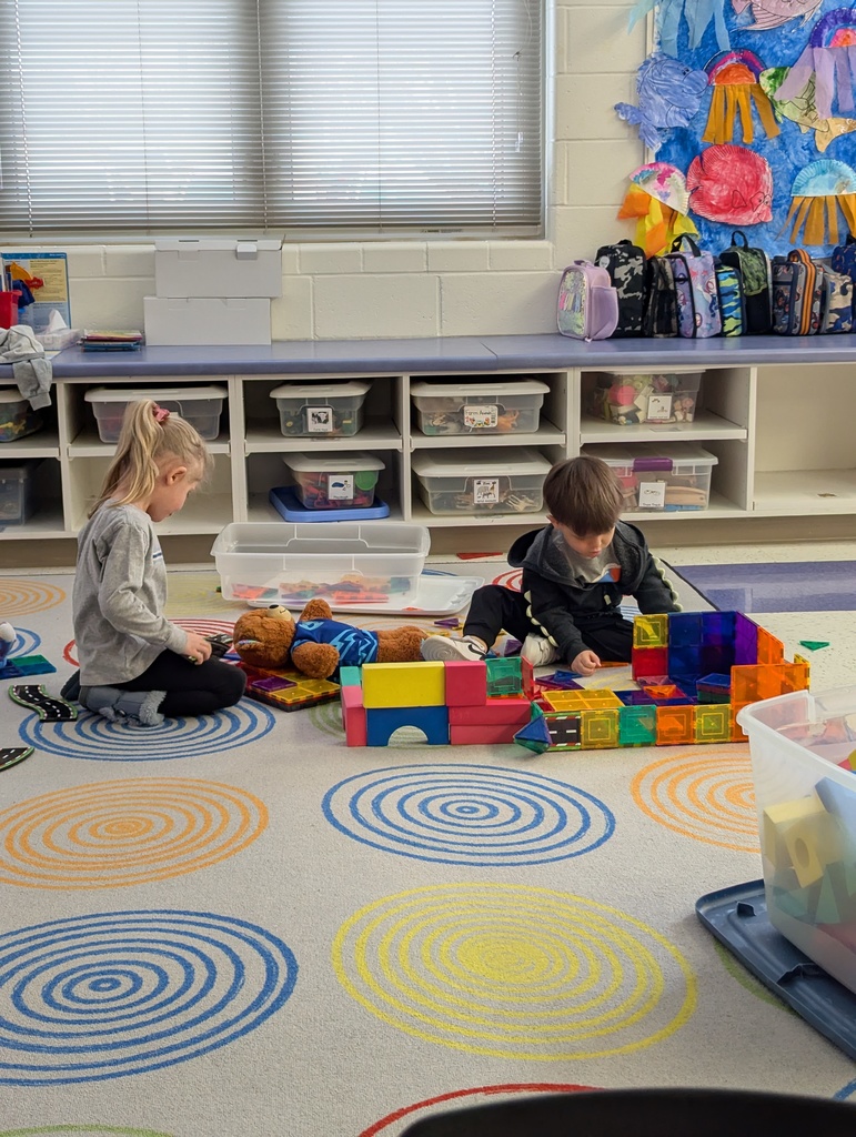 PXL_20260224_155507190 - Katie Koopmann