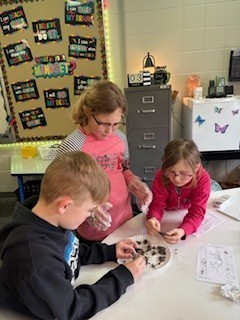 Three students work together at a table using gloved hands to sort and study soil samples during a classroom science lesson.