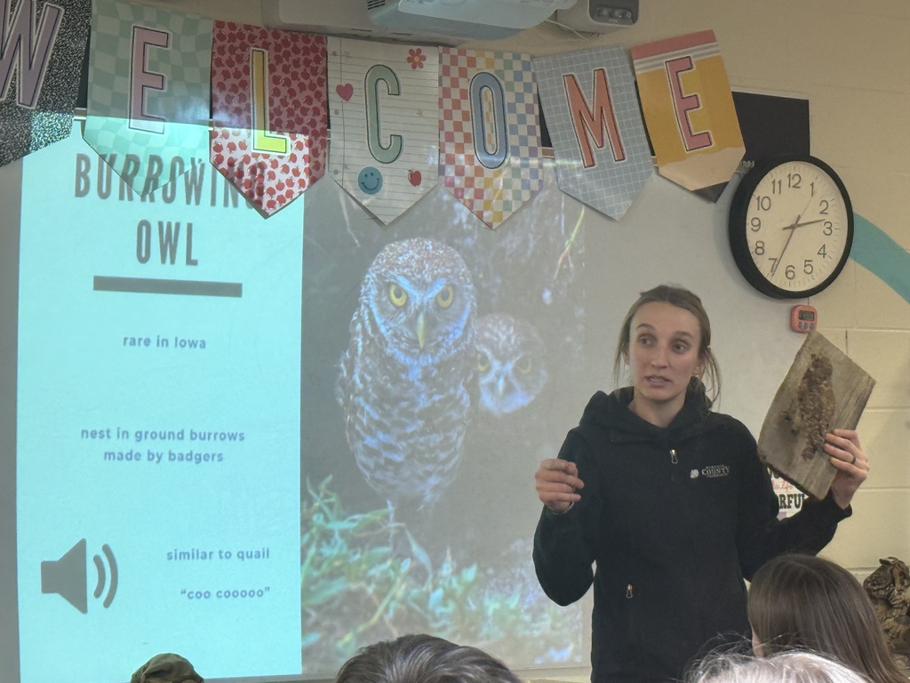 IMG_8087 - Beth Jarding