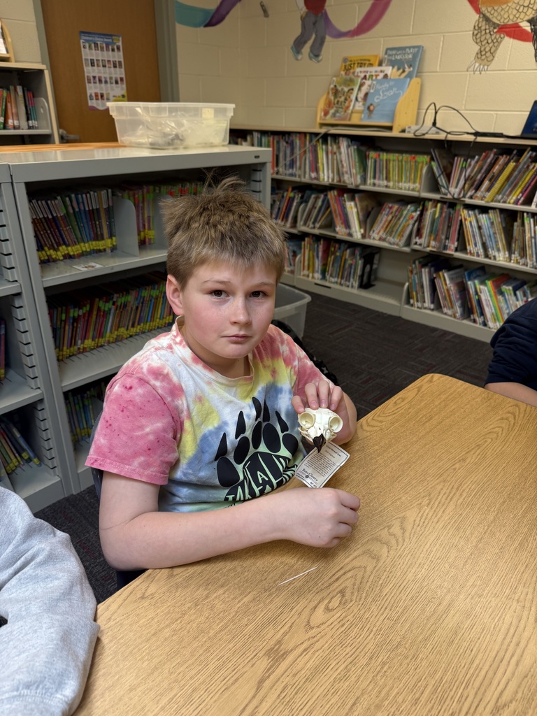 IMG_8085 - Beth Jarding