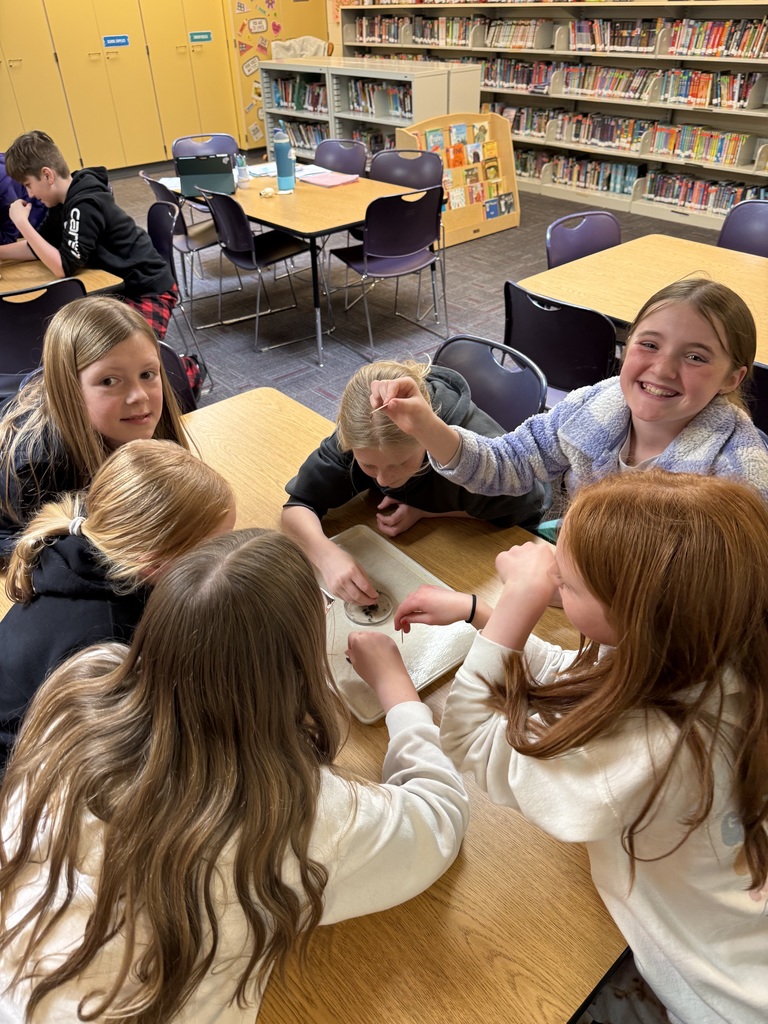 IMG_3808 - Beth Jarding