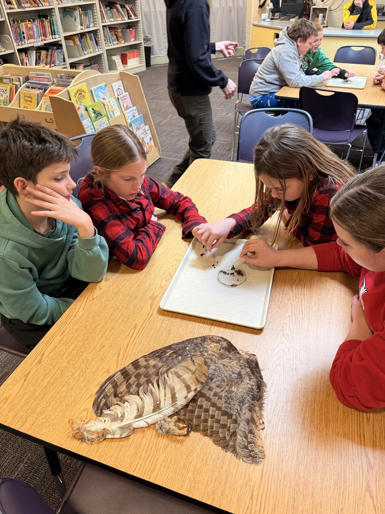 IMG_3809 - Beth Jarding