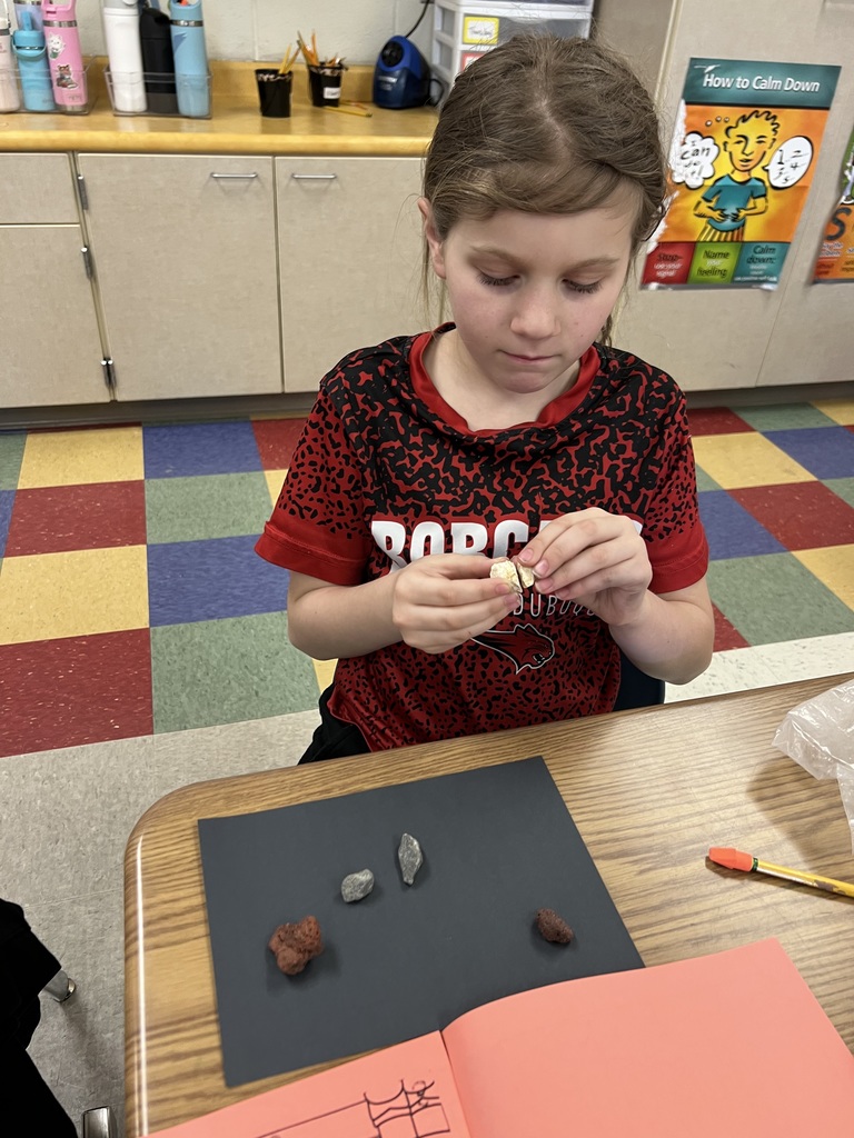 Student studies a light-colored rock, holding it carefully while other samples rest on black paper nearby.