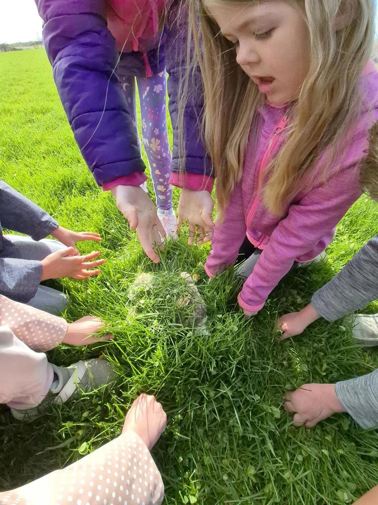 Close-up of children’s hands placing dandelions and grass onto a paper plate, creating a small nature arrangement outdoors.