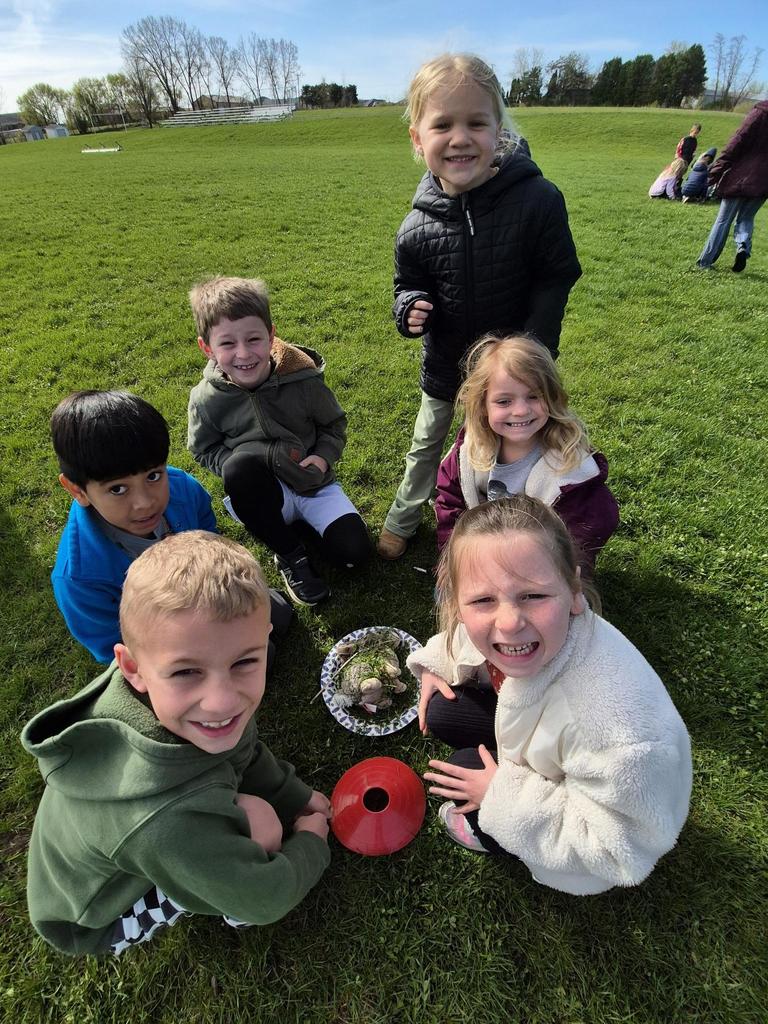 Six children stand and kneel in a grassy field, gathered around a small plate of natural materials, smiling in bright sunlight.