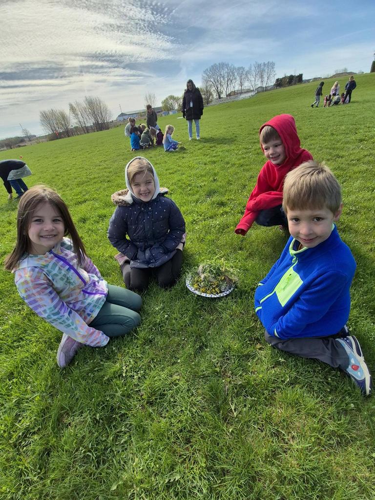 Four children kneel on grass in a field, smiling around a small plate piled with leaves and dandelions during outdoor play.