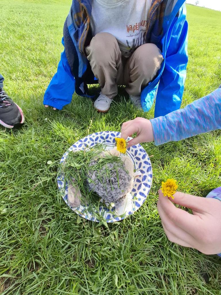 Close-up of children’s hands placing dandelions and grass onto a paper plate, creating a small nature arrangement outdoors.