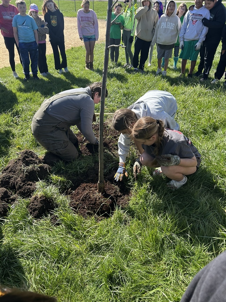 tree