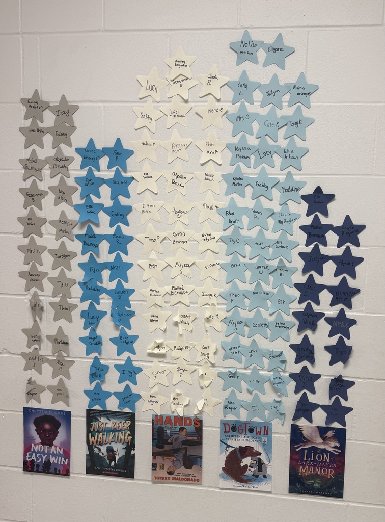 Wall display of blue and white paper stars labeled with names in a clustered pattern, with book covers lined along the bottom.