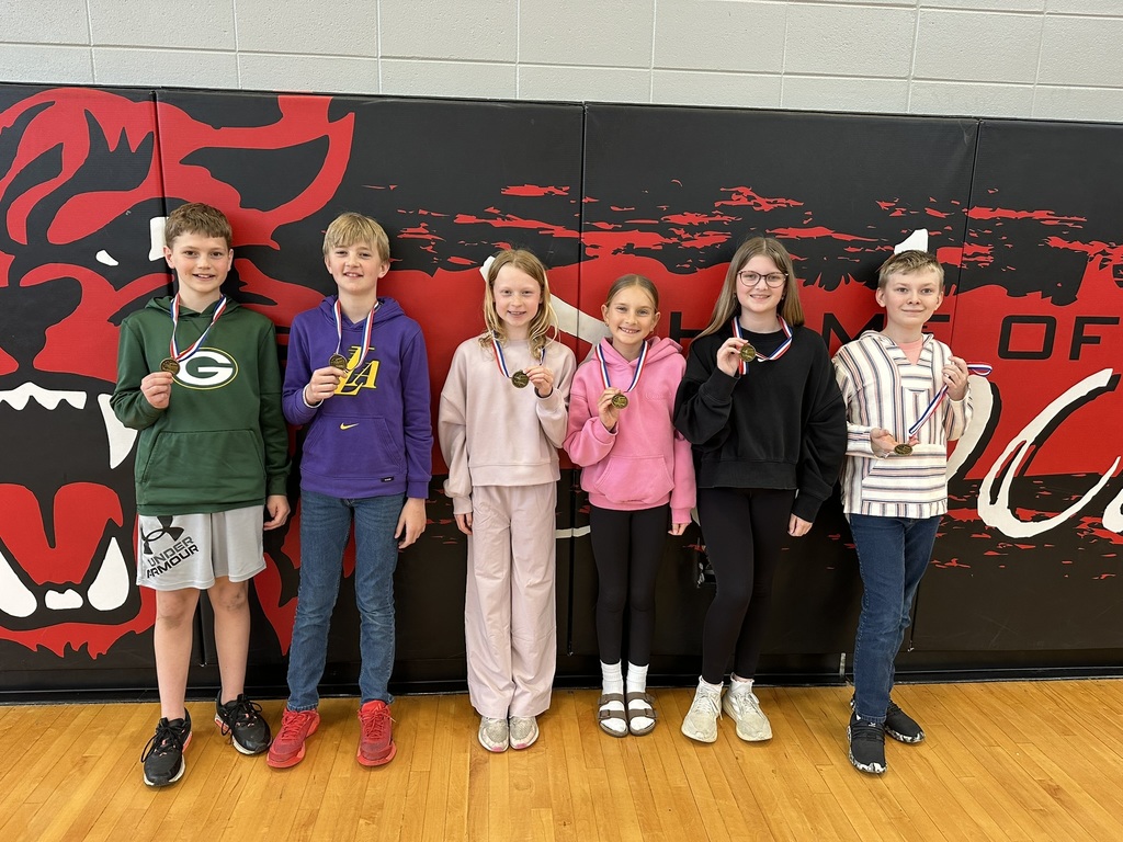 Math Olympiads 2026 at DMS