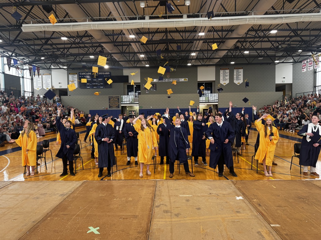 Students wearing yellow and navy gowns throwing their graduation hats.