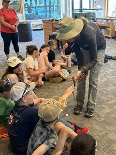 Kids looking at a snake