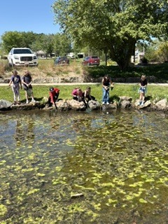 Kids looking in a pond