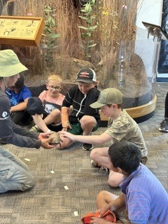 Kids looking at a turtle