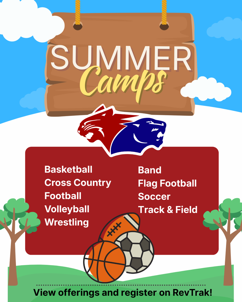 Flyer that outlines summer camps with football, basketball, and soccer ball graphic