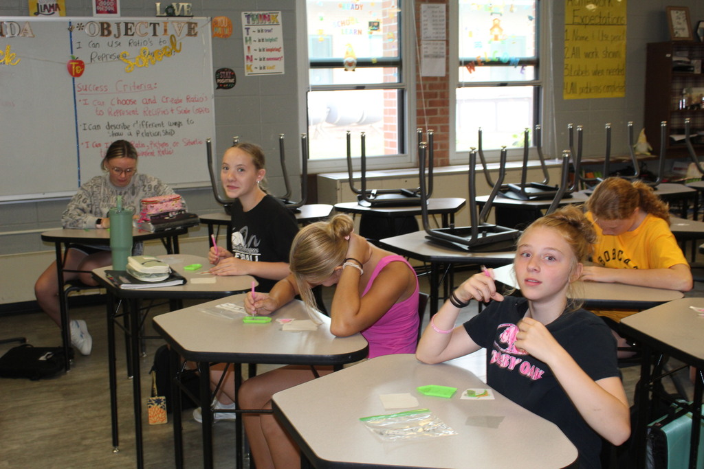 Bobcat Clubs on Fridays at DMS!
