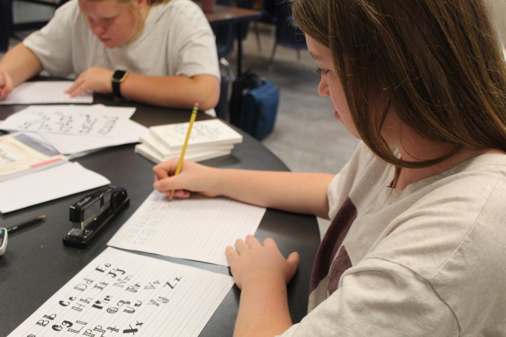 Bobcat Clubs on Fridays at DMS!