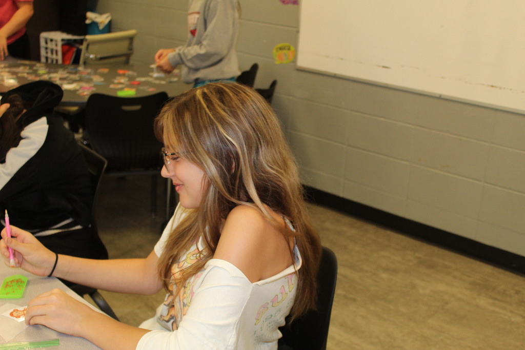Bobcat Clubs on Fridays at DMS!