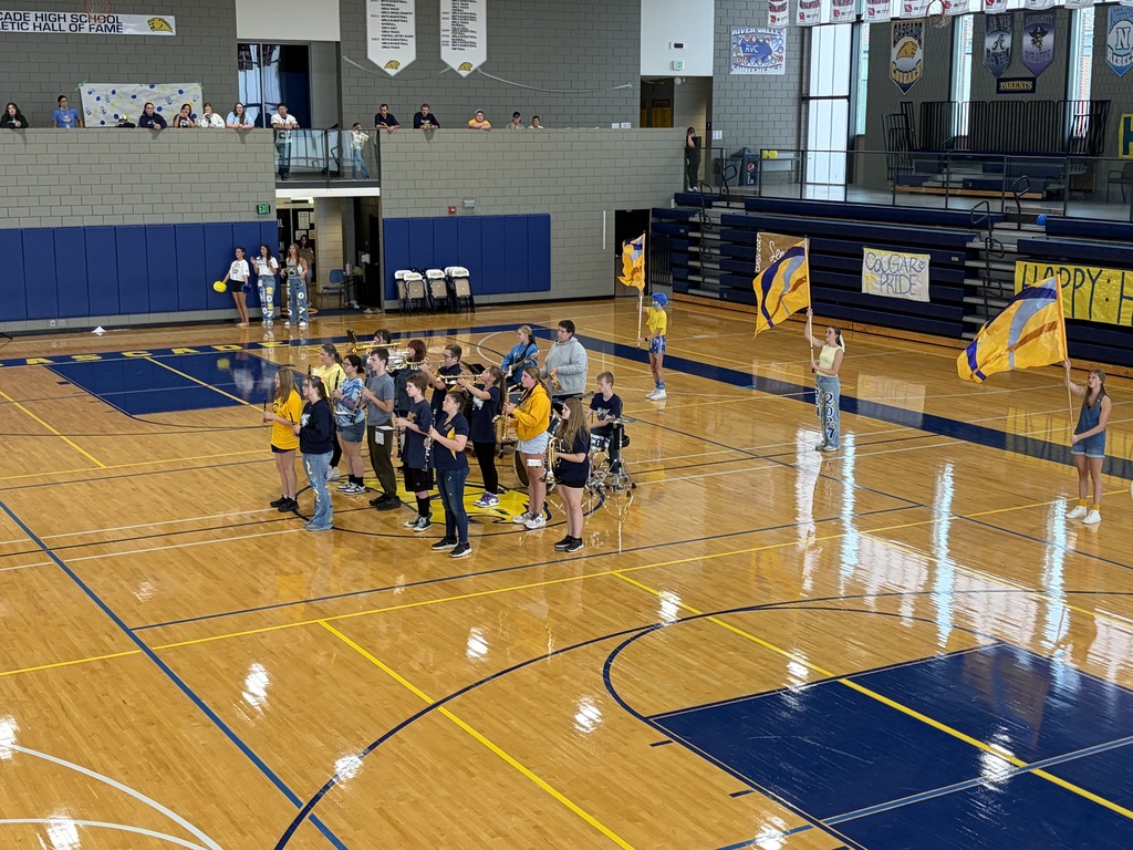 The school band performs on the gym floor as color guard members wave large blue-and-gold flags nearby.