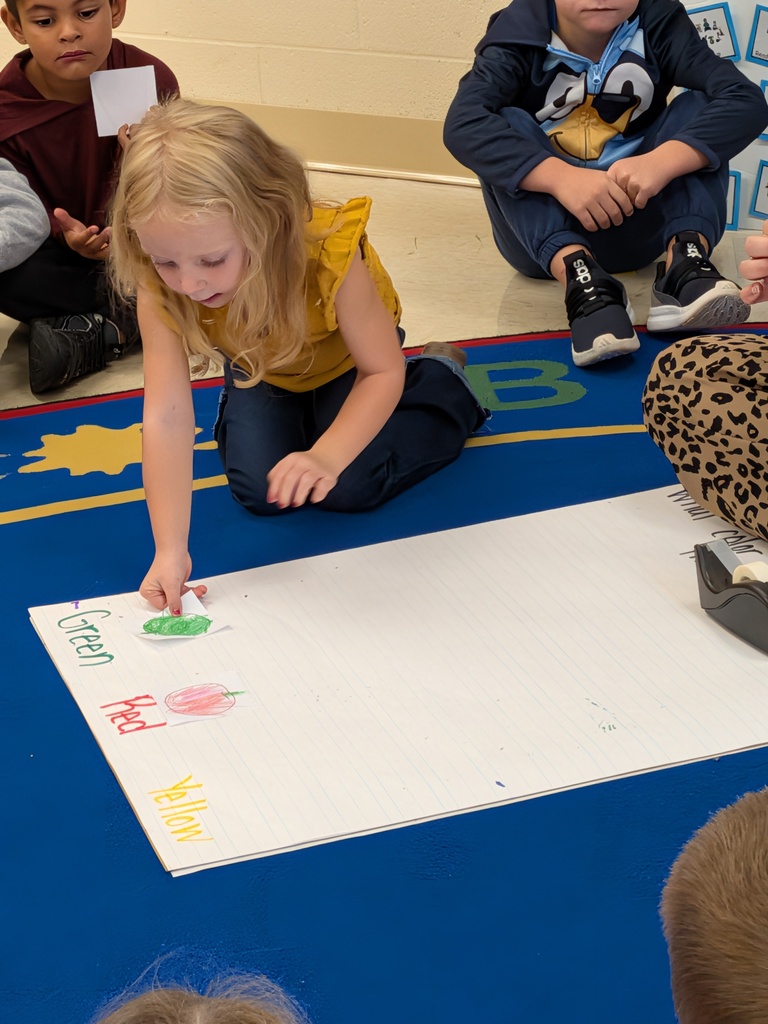A student places a green apple drawing on a classroom graph while classmates watch during an apple color activity.