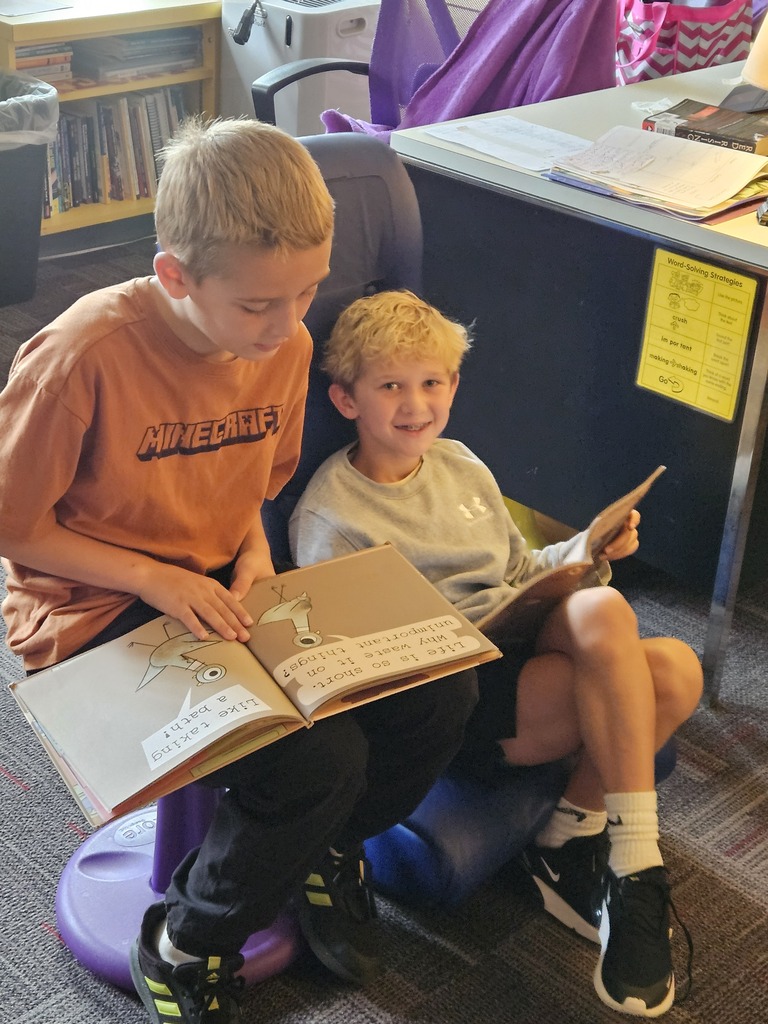 Two boys sit together in a cozy classroom reading area, smiling and exploring illustrated books.