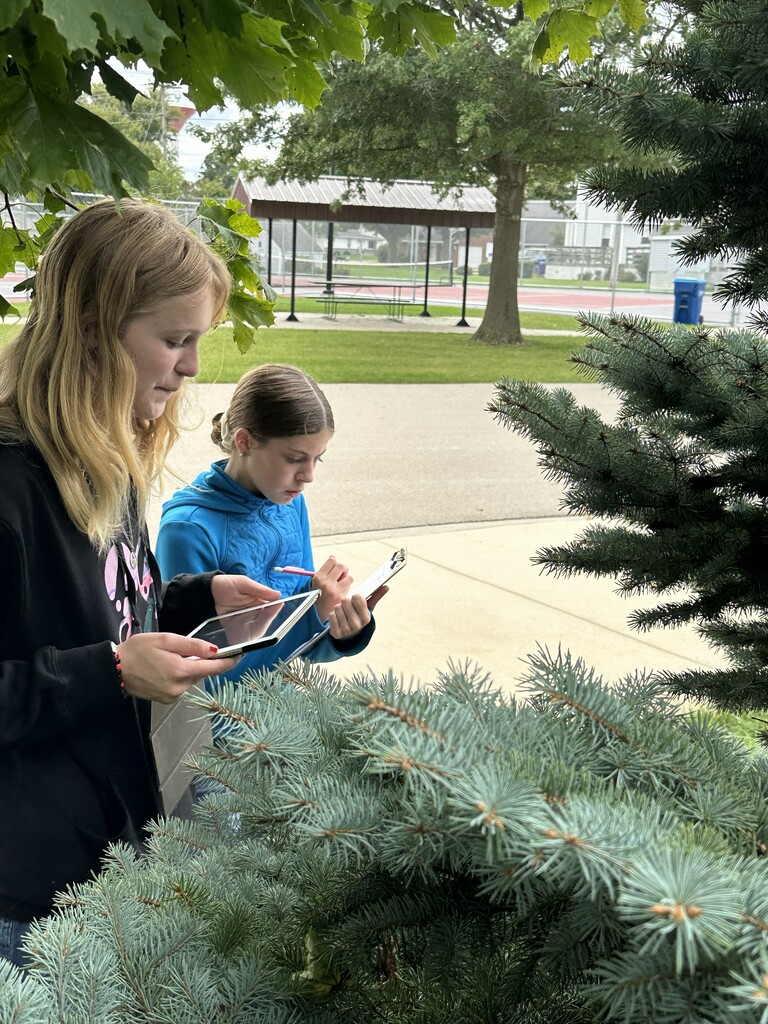 7th & 8th TAG students