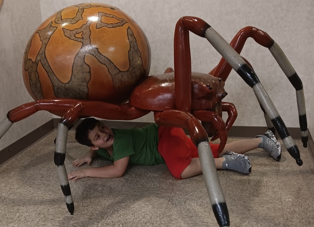 giant spider