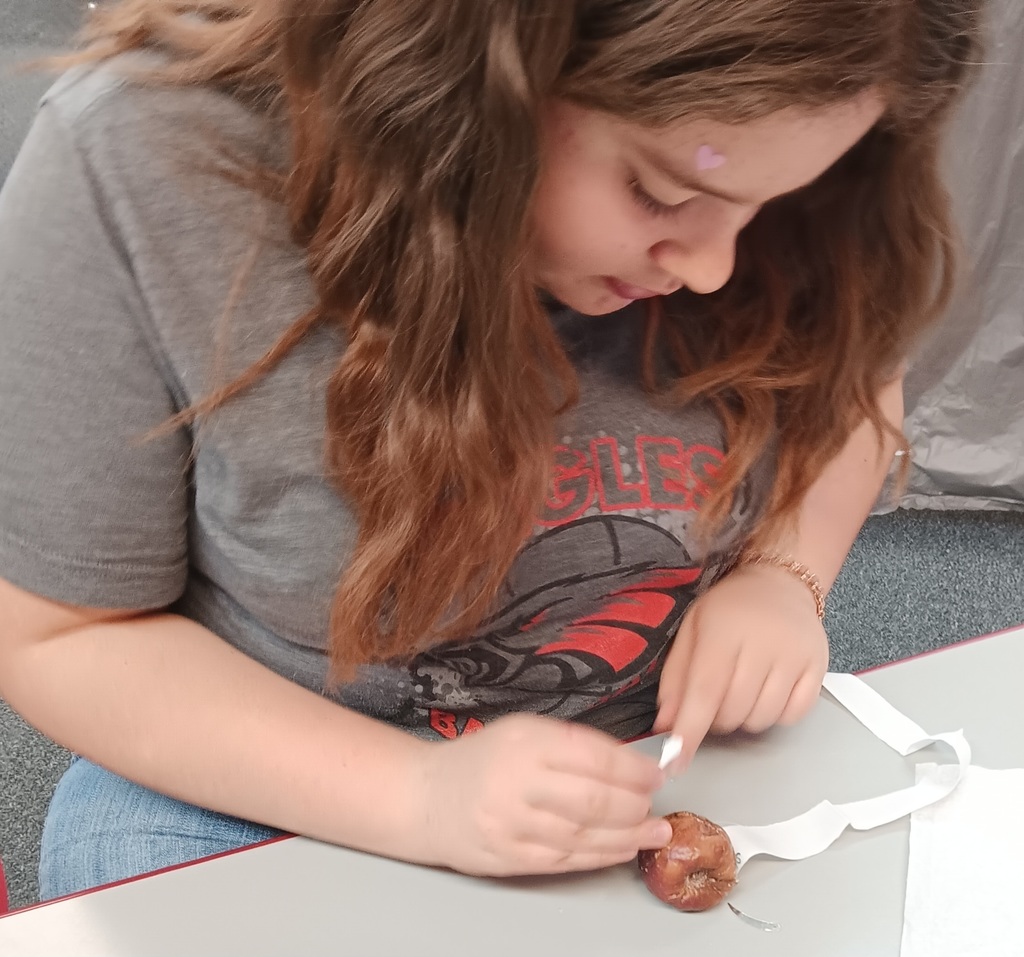 Wrapping a mummified appple