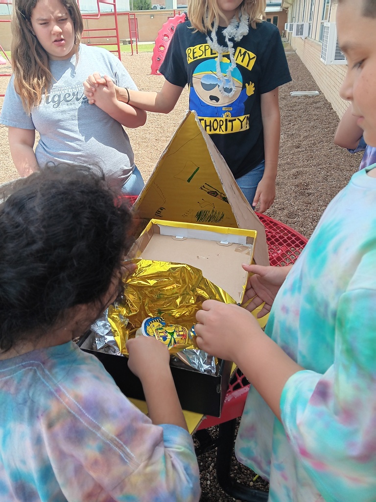 Examining the apple mummies