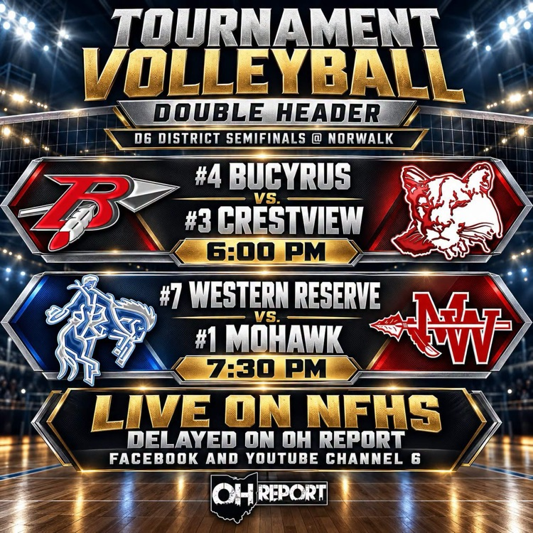 volleyball game info