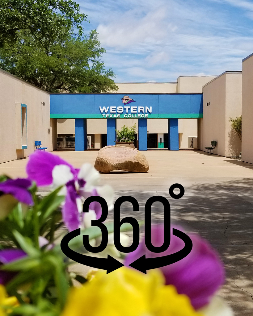 A view of the arch on the front of campus with flowers in the foreground and "360" overlaid.