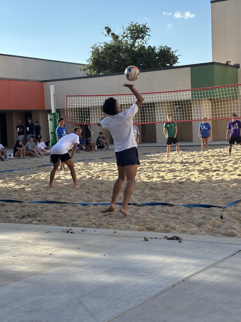A player gets ready to serve the ball as the teams look on.