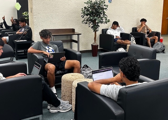 Students study in the Library siting in comfortable chairs.