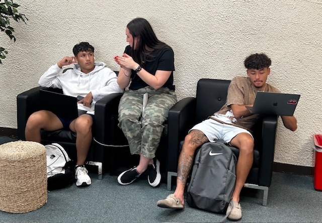 Three students sitting in chairs using laptops, talking and studying together.