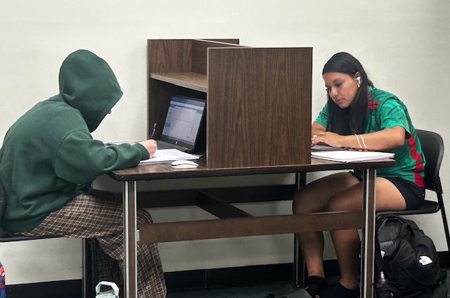 Two students studying at a desk with privacy dividers, using laptops and notebooks.