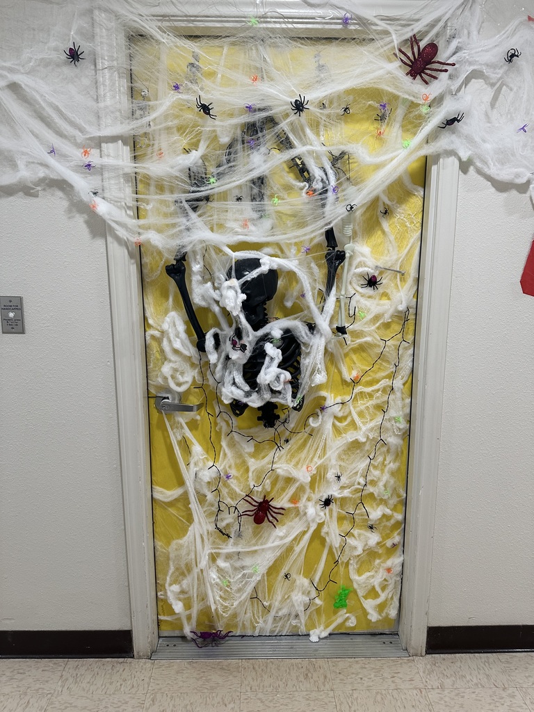 Angelina Mireles, Skeleton in webs door