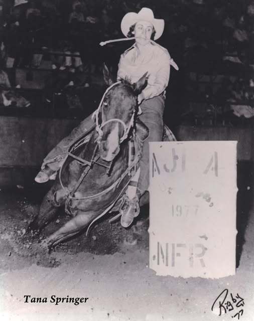 Tana Springer