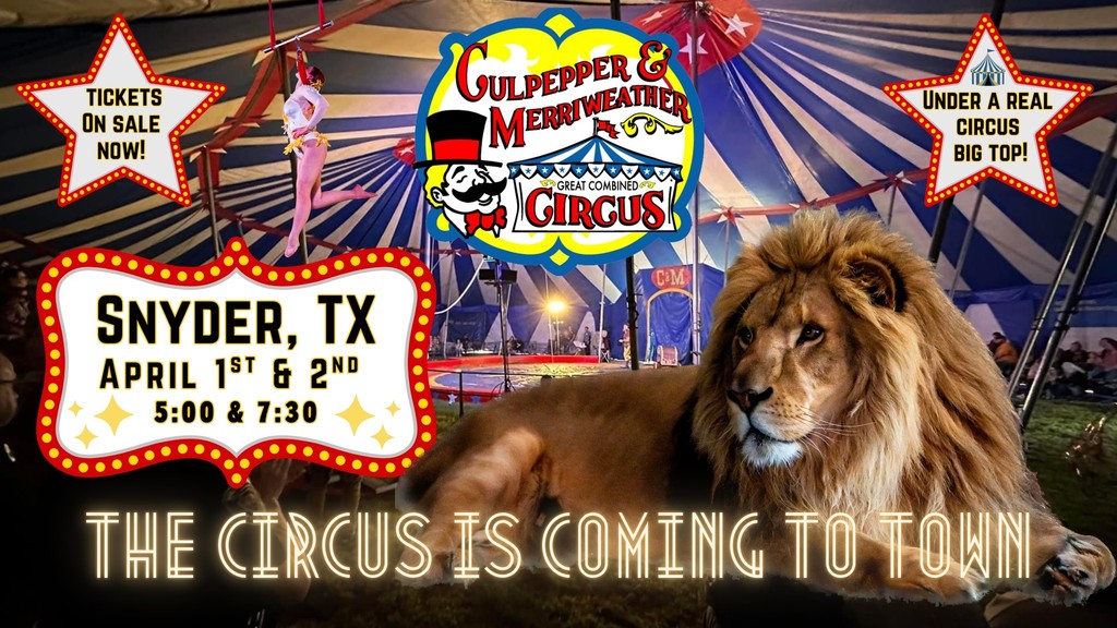 Circus graphic