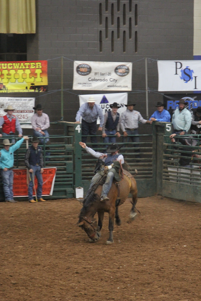 A man rides a bull in an arena while men hanging on fencing watch.