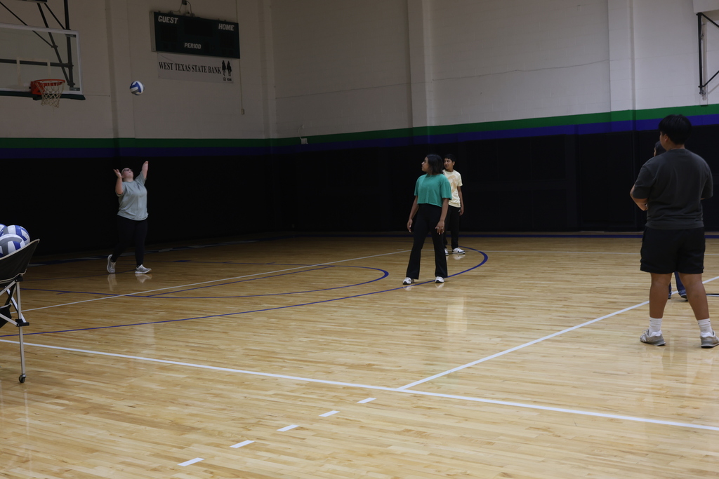 Students practice volleyball skills during a recreational activity in the WTC gym.