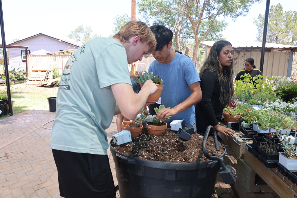 Students work together potting succulents at a large soil station during a hands-on gardening activity in an outdoor nursery.