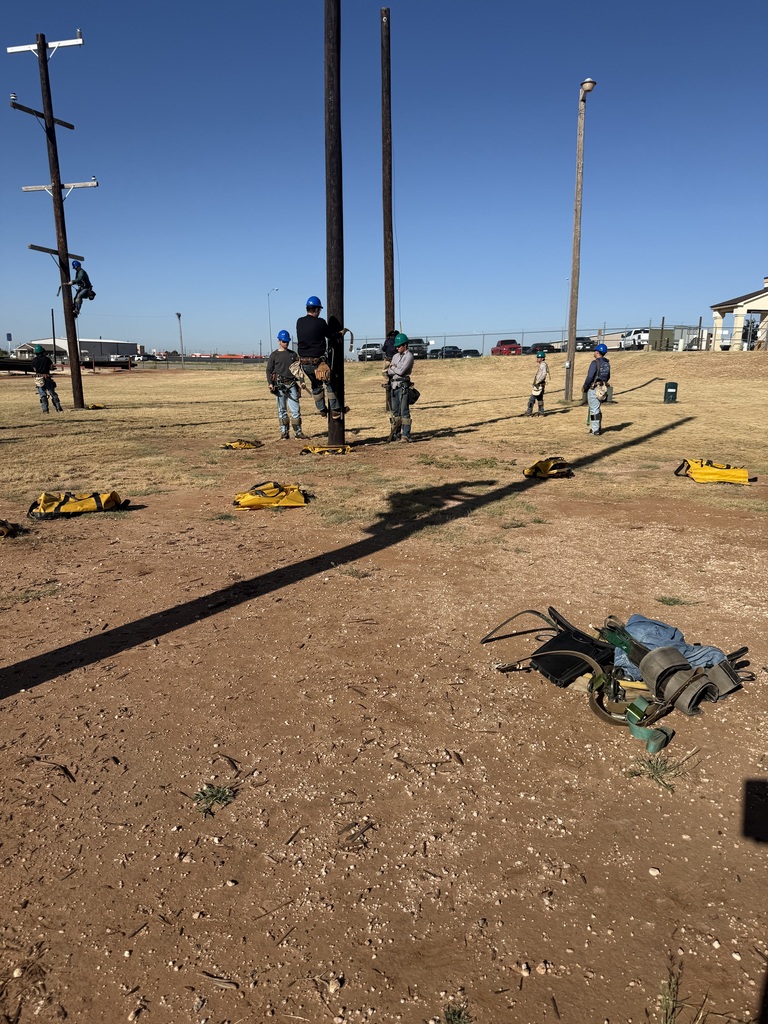Electrical Lineworker Technology students practice climbing utility poles while wearing safety equipment at WTC’s outdoor training yard.