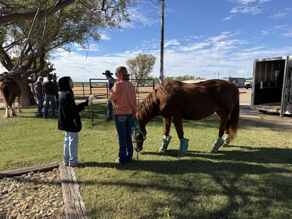 A studnet speaks to a woman next tio a horse with fence panels in the background.