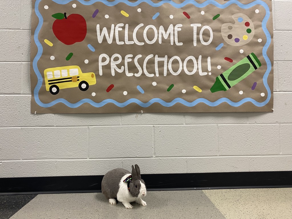 Elementary Students Outside of School