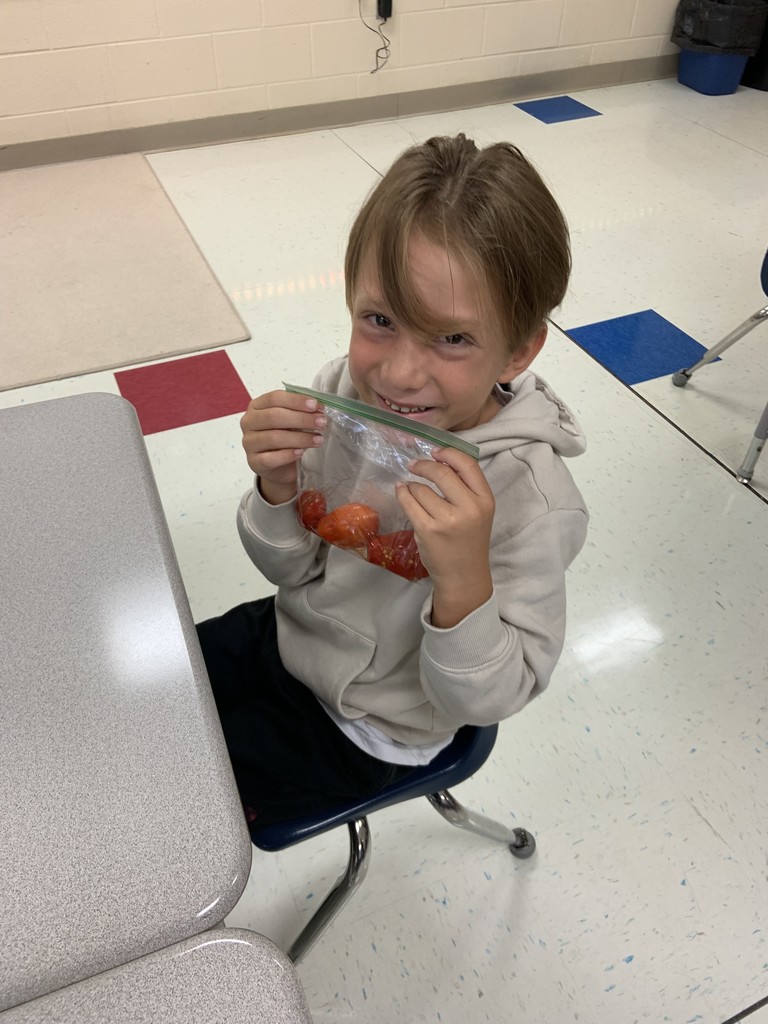 Students making marinara from tomatoes
