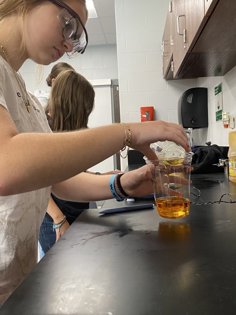 Students conducting science project with dense liquids