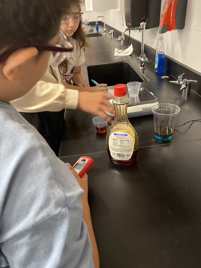 Students conducting science project with dense liquids
